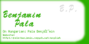 benjamin pala business card